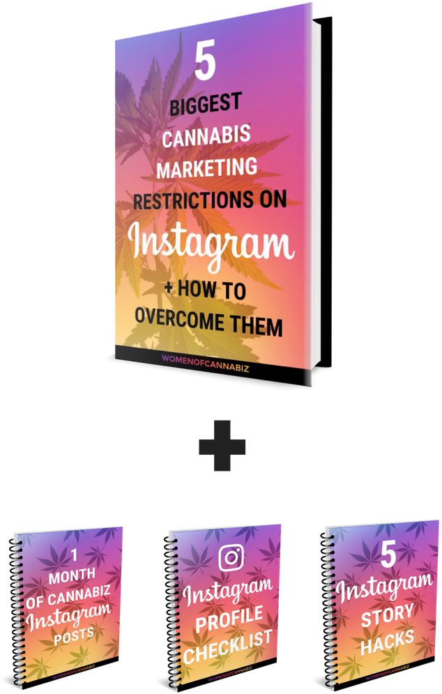 Instagram Png (735x1102), Png Download