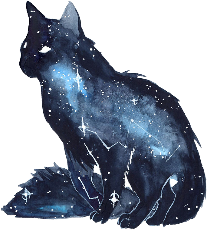 Cat Kitten Galaxy Watercolor Space Stars Freetoedit - Galaxy Animals (684x758), Png Download