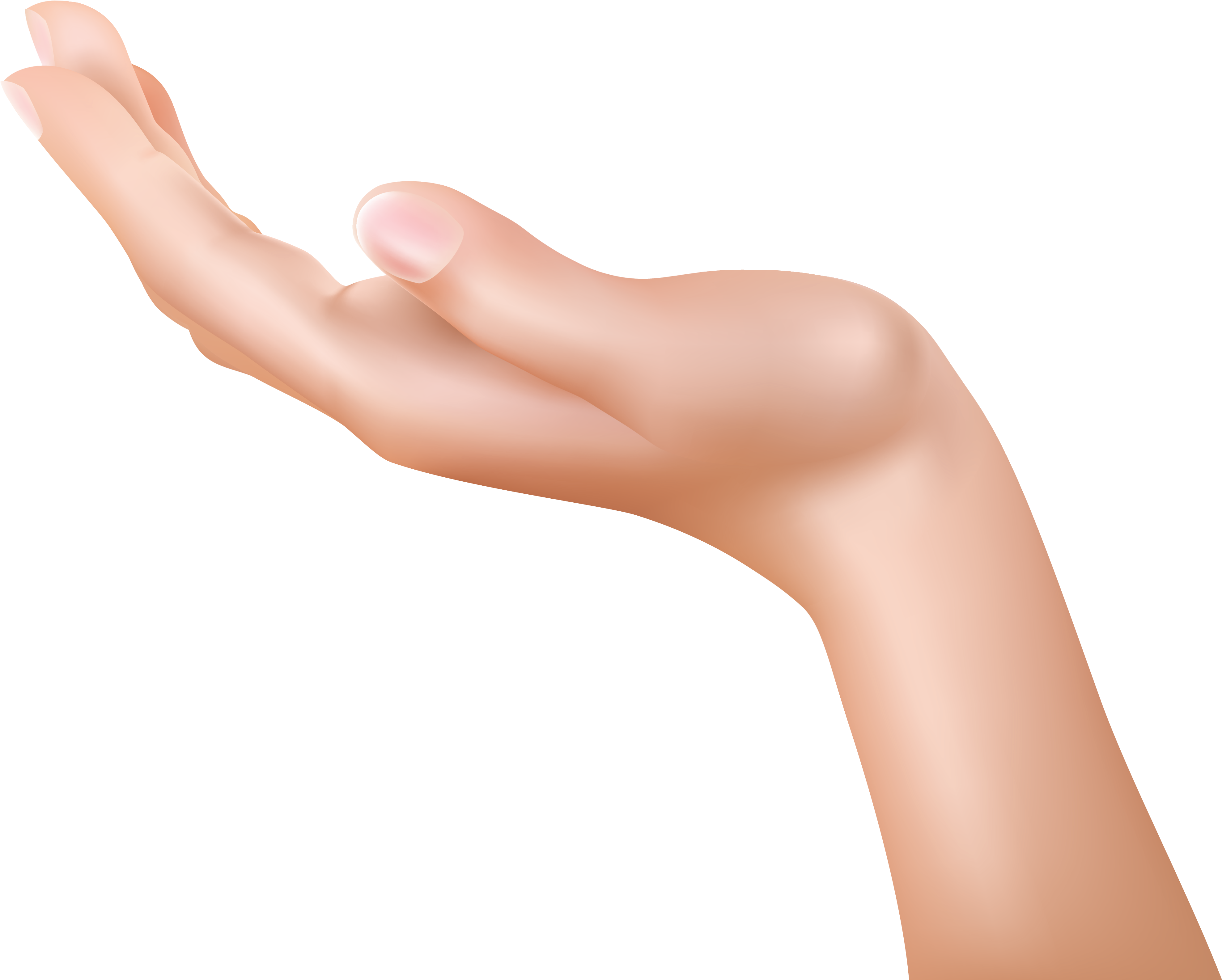 Hand Png (4024x3338), Png Download