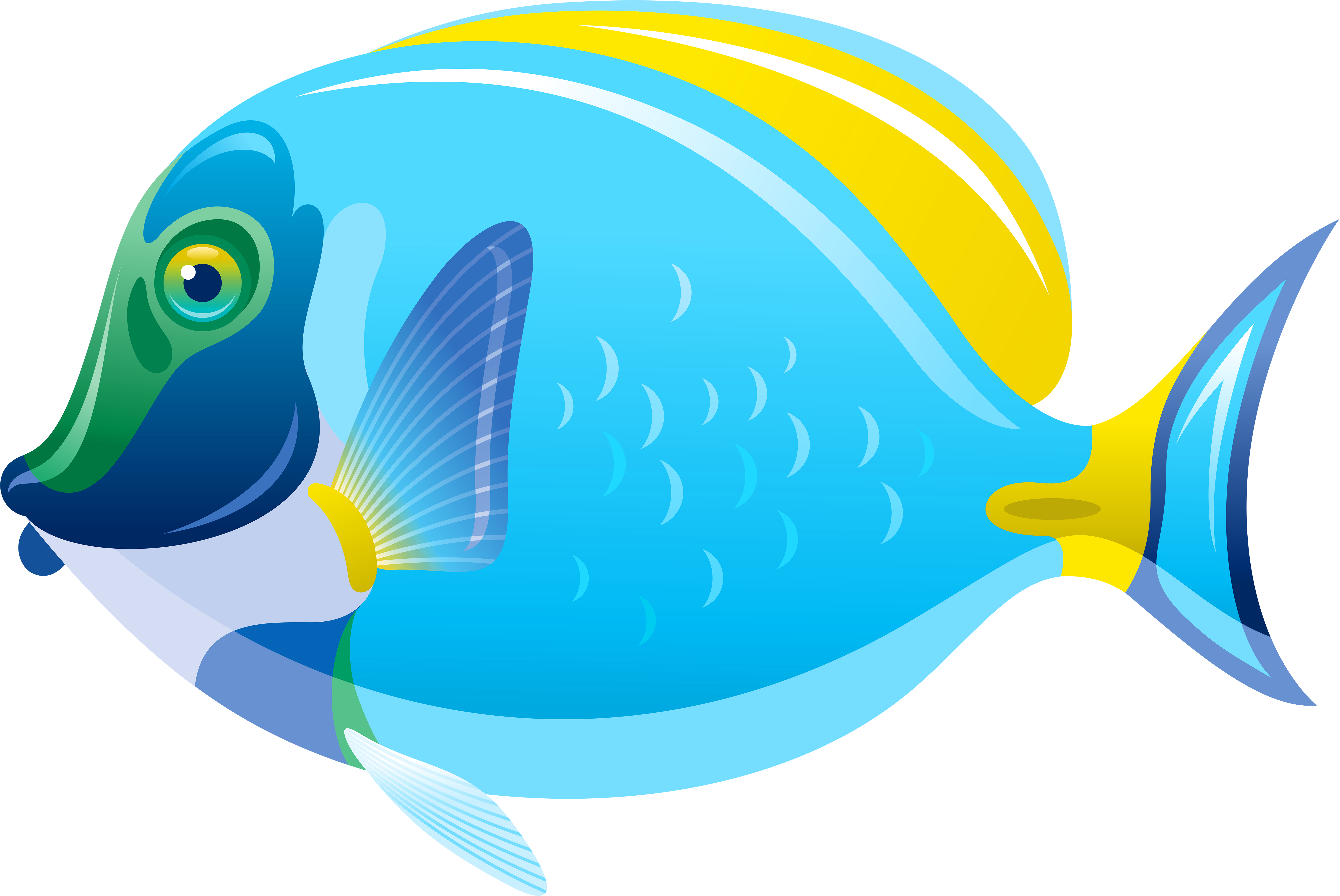 Fish Png Clip Art (6000x4012), Png Download