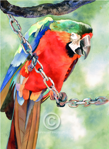 1 - Watercolor Painting (1000x630), Png Download