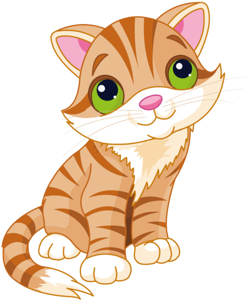 Cat png images