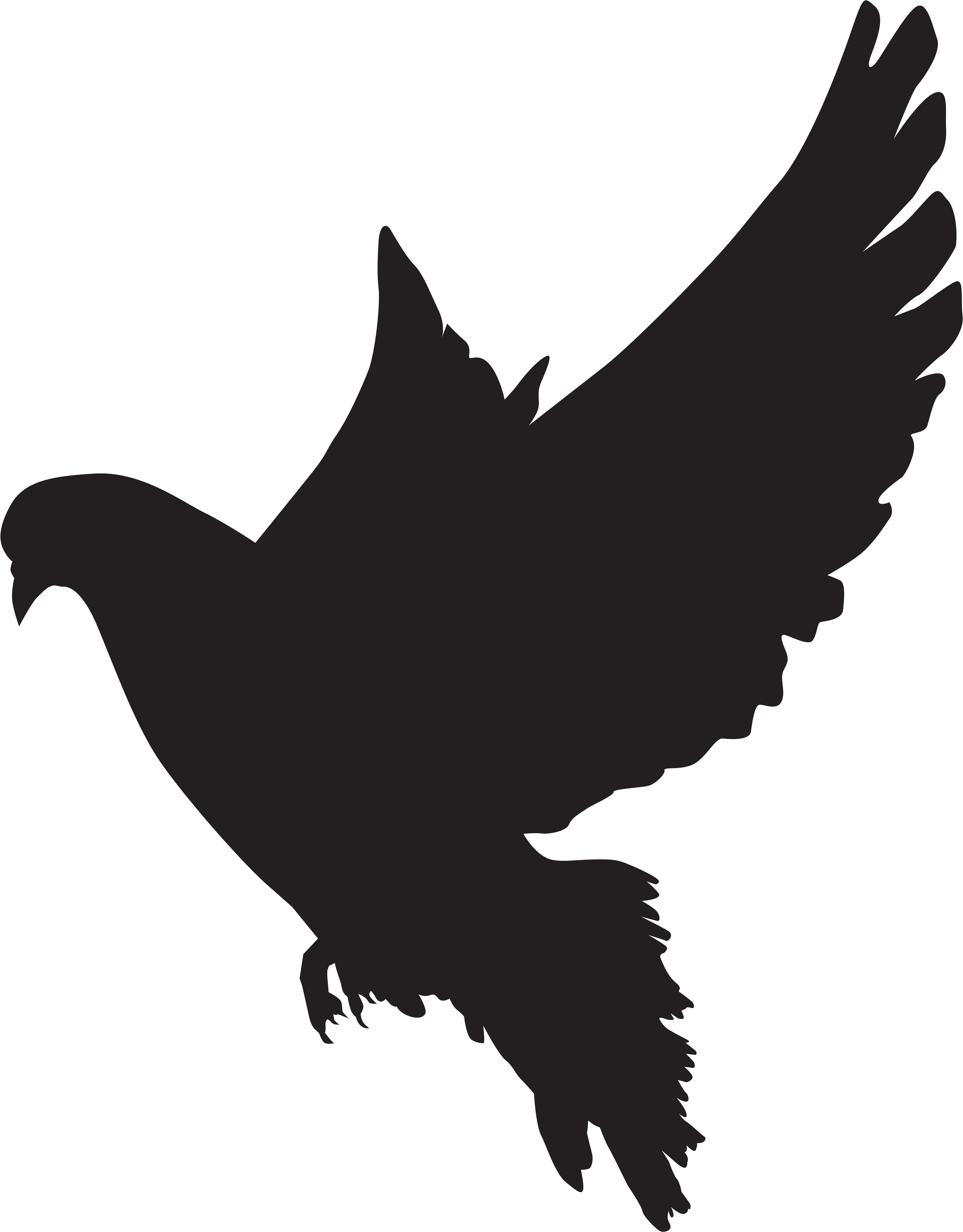 Dove Png (6510x8000), Png Download