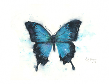Lepidoptera (380x380), Png Download
