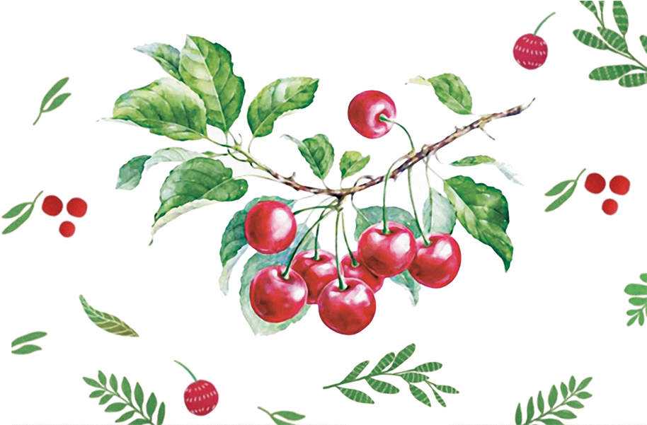 Vector Cherry Hand Drawn - Png Watercolor Cherry Vector (923x600), Png Download