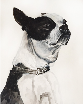 Chipper- 11" X 13" Ink / Watercolor - Watercolor Painting (412x411), Png Download