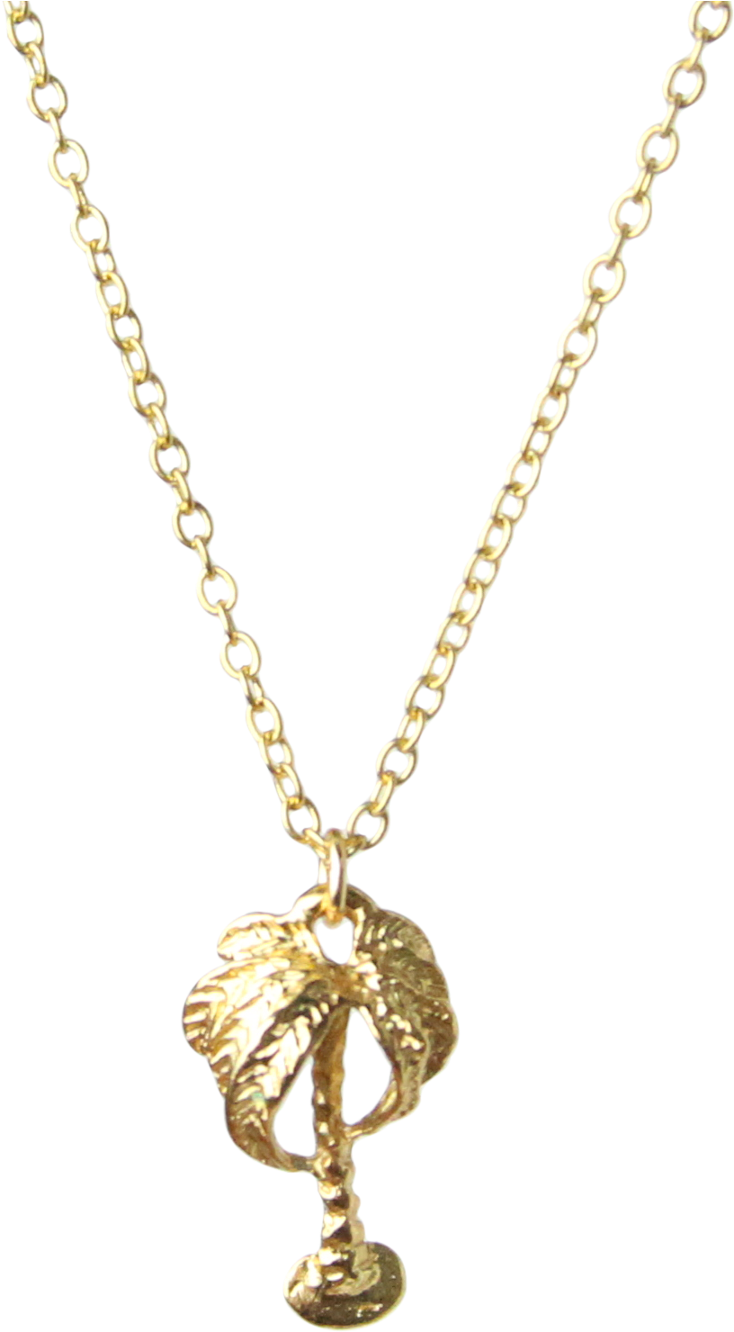 Mini Palm Tree Charm Necklace In Gold Vermeil - Collier Merci Maman Pierre (1621x1621), Png Download