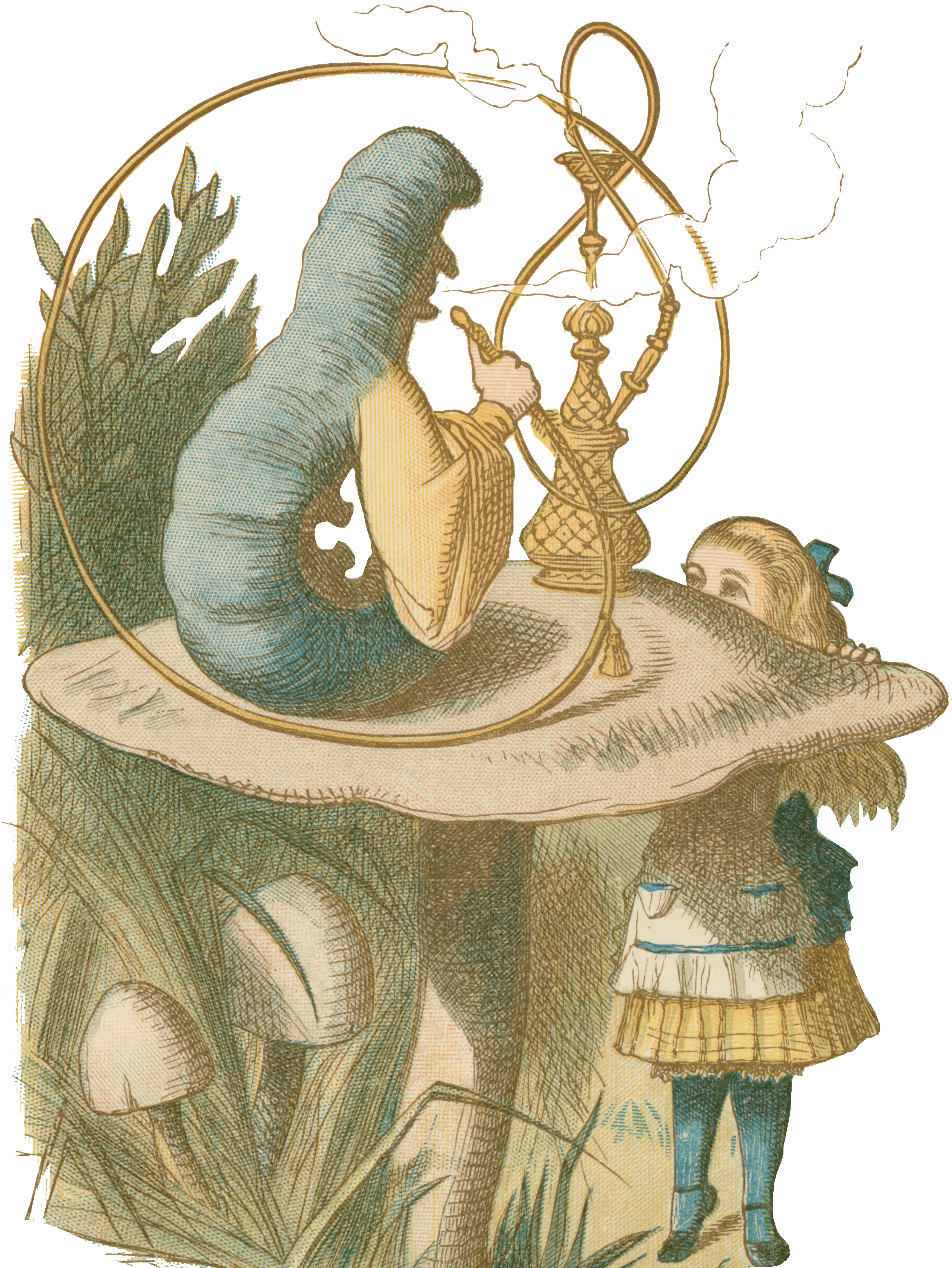 Spotlight On Wonderland (3378x4409), Png Download