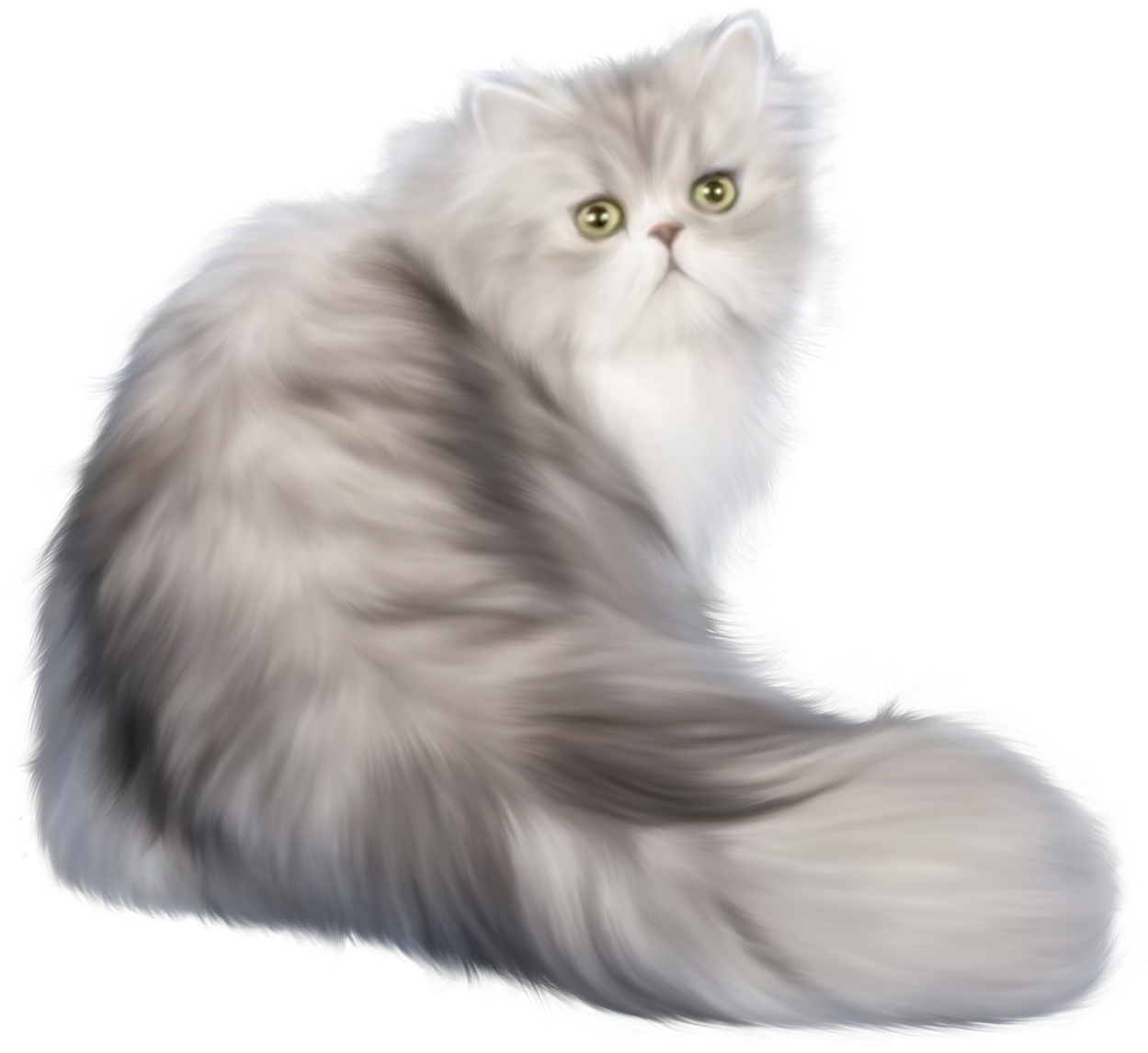 Cat Png Clip Art - Long Hair Cat Png (1280x1145), Png Download
