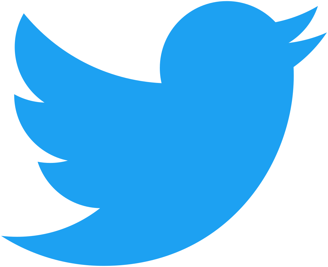 Twitter Bird - Twitter Logo Png (944x768), Png Download