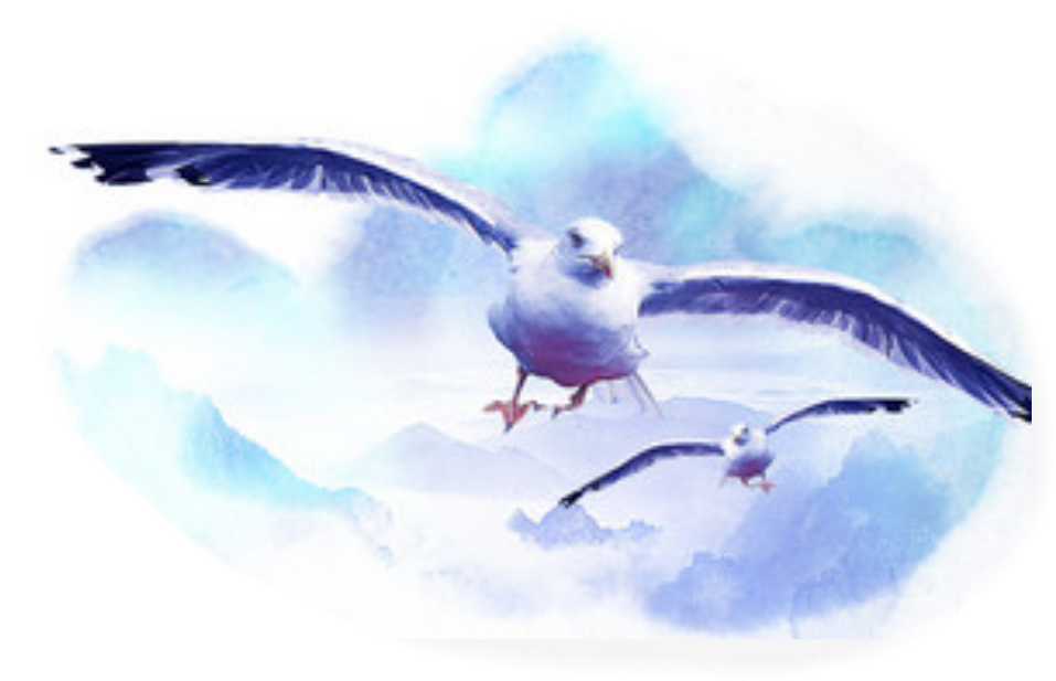 Report Abuse - Great Black-backed Gull (957x617), Png Download