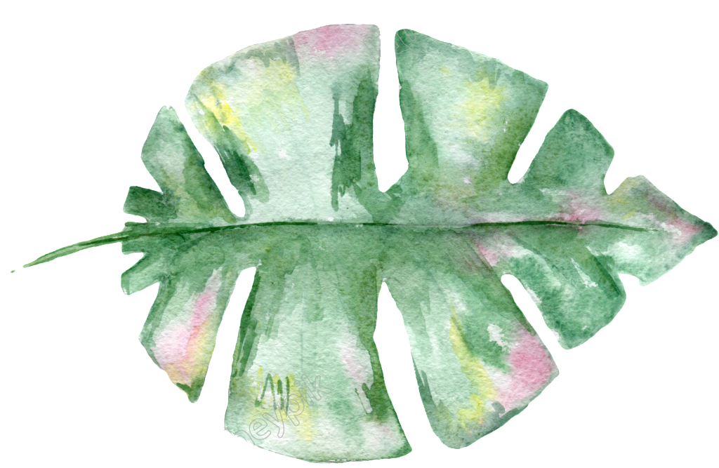 Hand Painted Watercolor Leaf Transparent Material (1024x667), Png Download