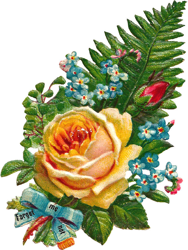 Rose Clipart Watercolor - Real Flowers Png Images Hd (1080x1275), Png Download