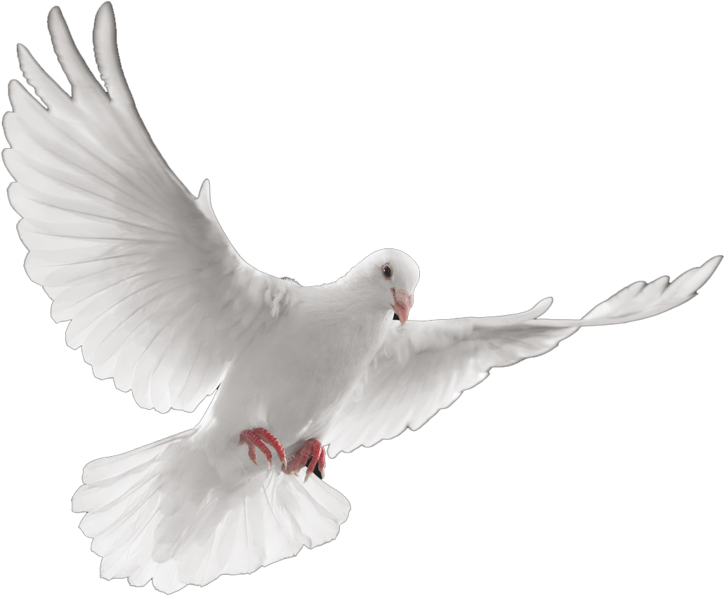 Graphic Royalty Free Library Stroud Lawrence Funeral - Portable Network Graphics (1446x1085), Png Download