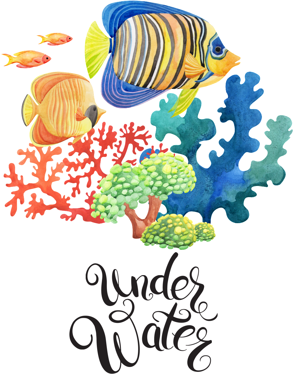 Hand Painted Sea Bottom Watercolor Fish Png Transparent - Sea (1024x1361), Png Download