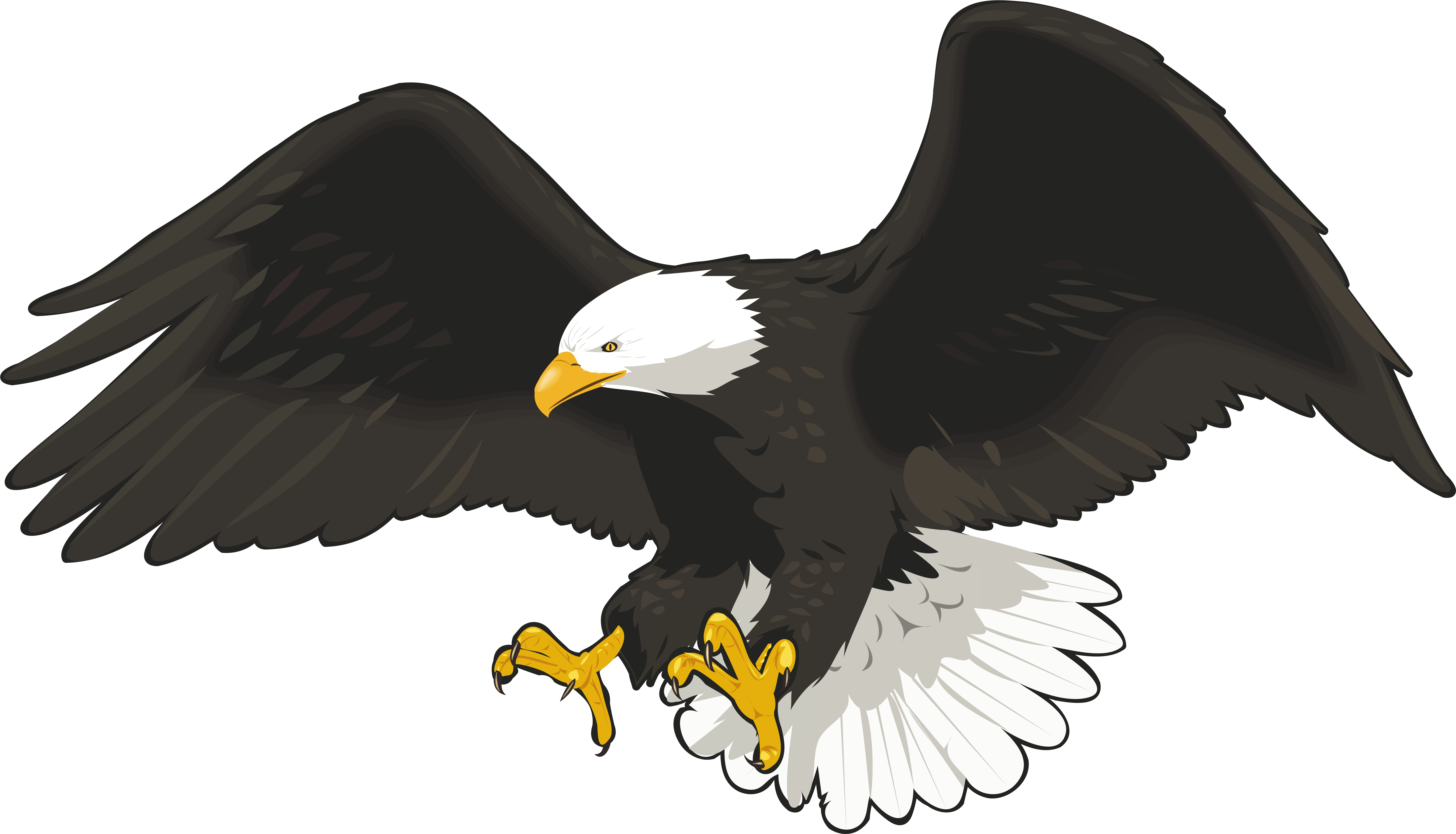 Eagle Png Png Clip Art Image (9288x5408), Png Download
