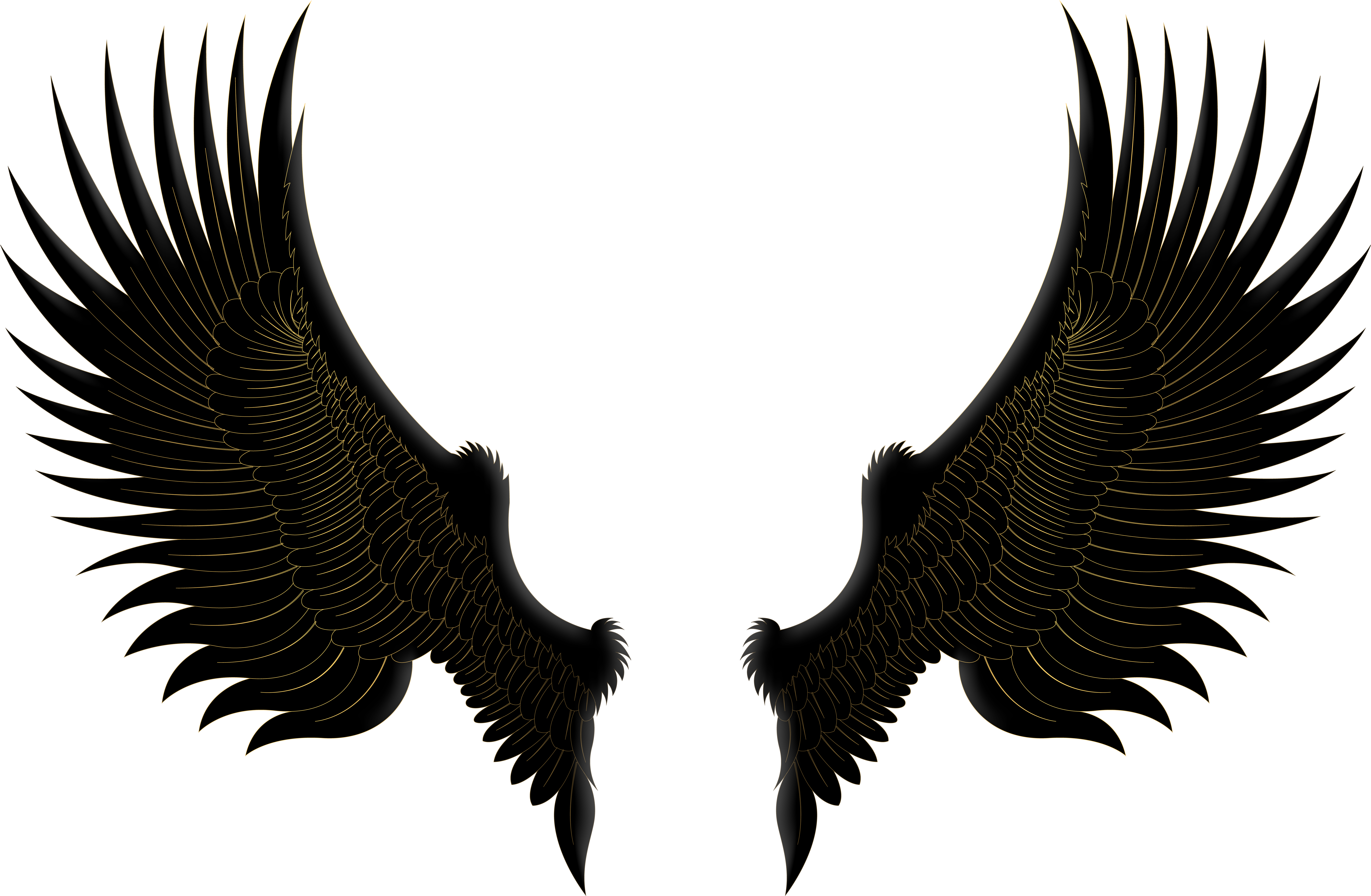 Wings Png (8000x5267), Png Download