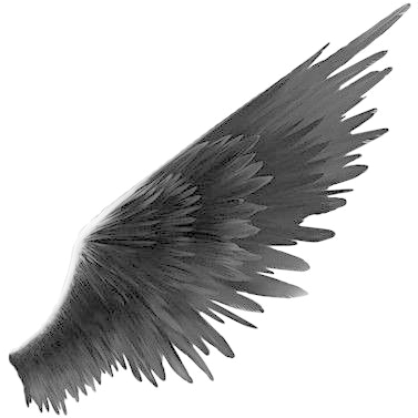 Black Wings Png Transparent Image - Angel Black And White Png (600x600), Png Download
