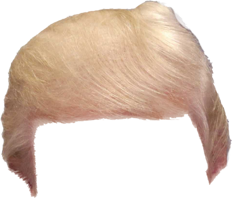 Support Trump Share The Hair Vector Transparent Download - Trump Wig Png (600x600), Png Download