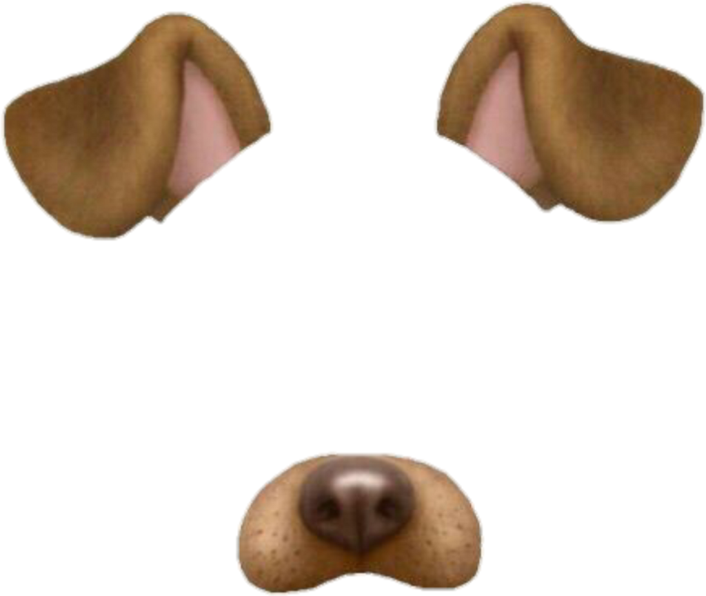 Overlay, Snapchat, And Dog Image - Dog Ears Snapchat Filter (500x574), Png Download