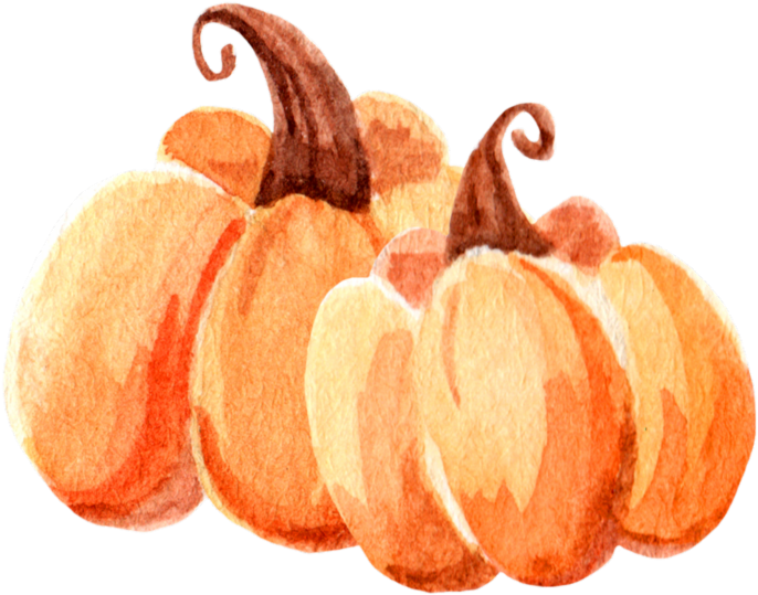 Smiling Pumpkins Wish List - Illustration (800x800), Png Download