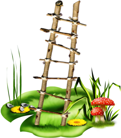 Mushrooms February 2015, Views Album, Ladder, Clip - Transparent Background Ladder Png Clipart (432x500), Png Download