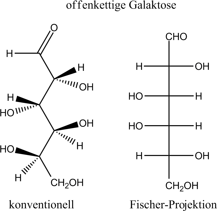 Galactose Open Chain - Fischer Projection To Open Chain (935x907), Png Download