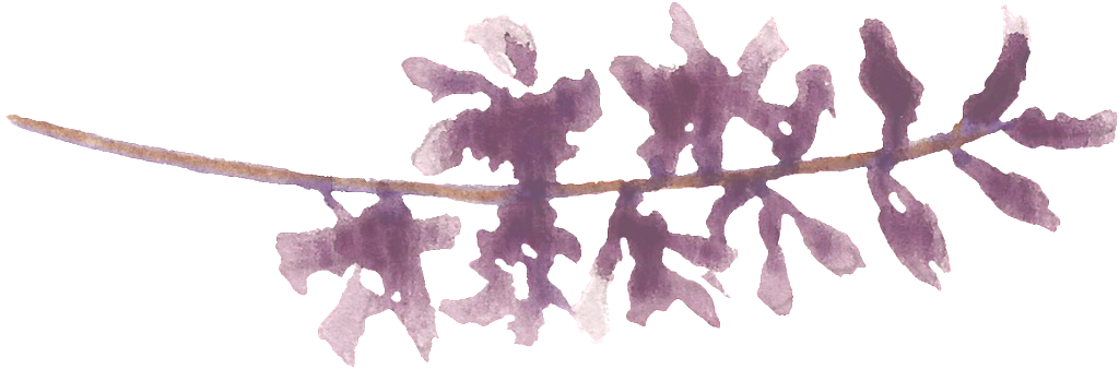 Purple Water Sprig Cartoon Transparent - Water (1024x338), Png Download