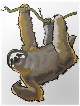 Brown Three Toed Sloth Greeting Card (400x400), Png Download
