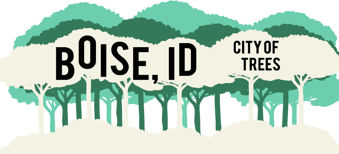Geofilter Template Boise Id Cityoftrees - Snapchat Geofilter Png (1080x1920), Png Download