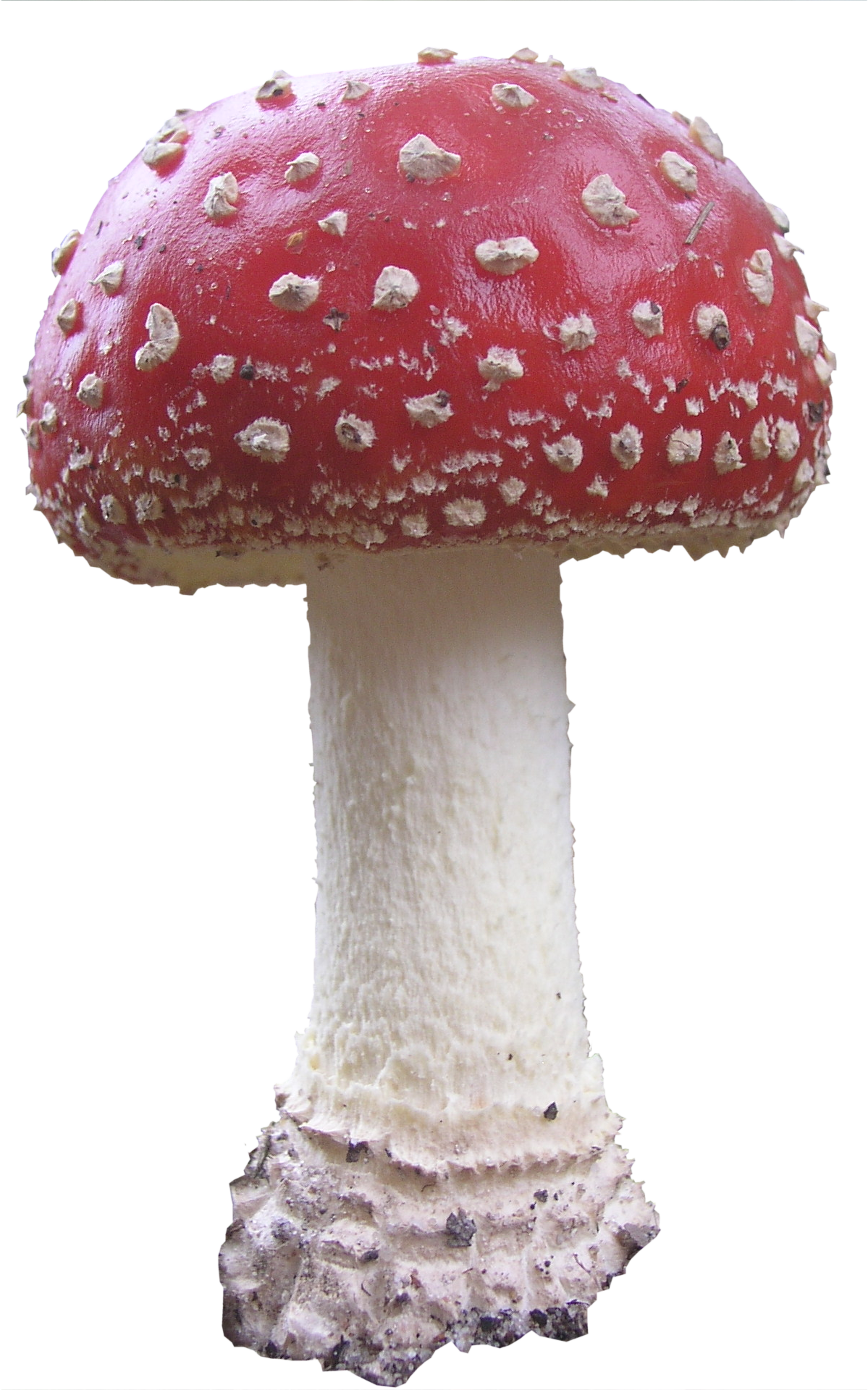 Mushroom Png (1199x1920), Png Download