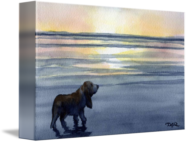 "basset Hound Sunset" By David Rogers, Fresno // Basset - Canvas Print (650x492), Png Download