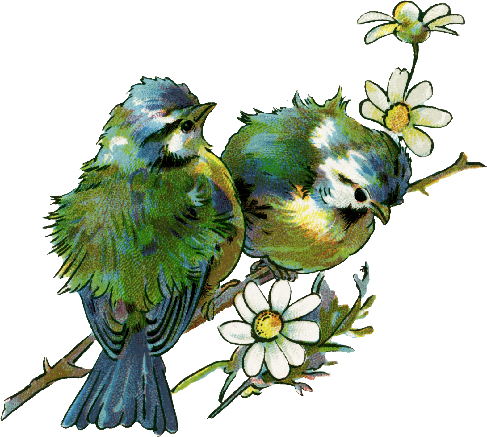 I Love This Bird Image, One Of My Favorites - Vintage Bird Design (1600x1476), Png Download