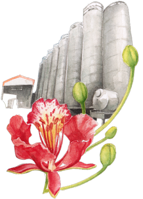 Hatsun Agro Products (451x437), Png Download