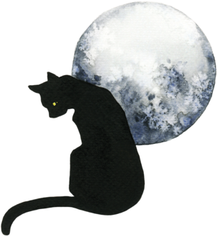 Cat And Moon - Black Cat (456x480), Png Download