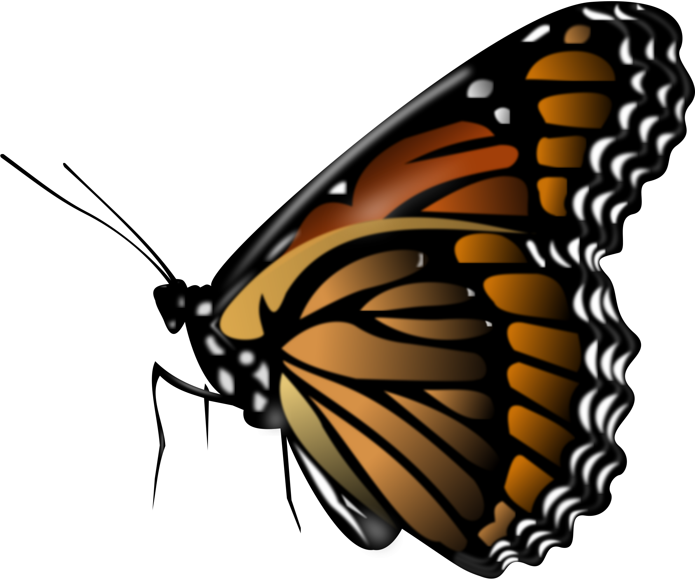 Butterflies Png Picture - Butterfly Png (2381x2000), Png Download