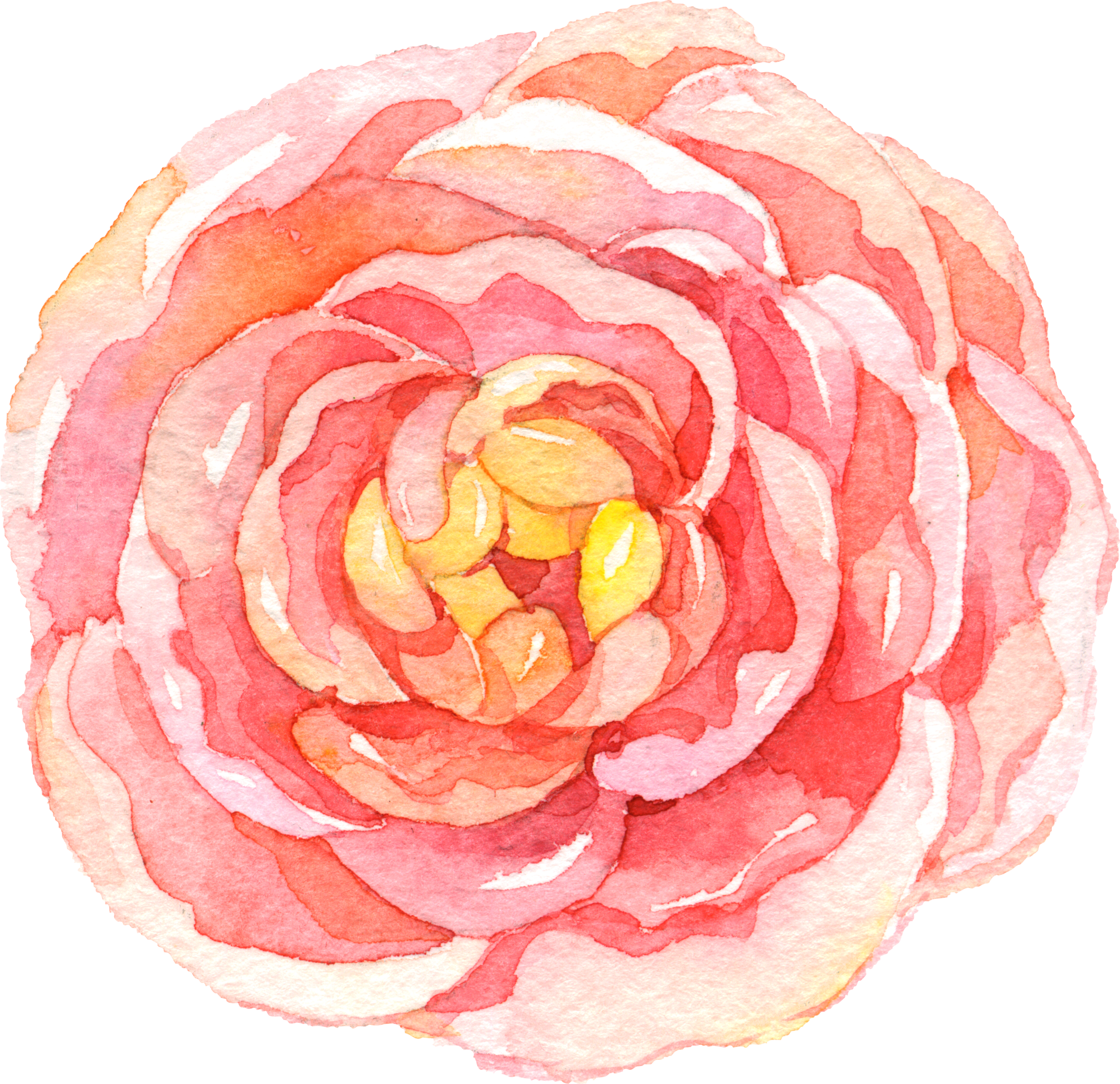 Image Library Stock Camellia Drawing Watercolor - Marmont Hill Bursting Flowers By Melanie Clarke Framed (2122x2053), Png Download