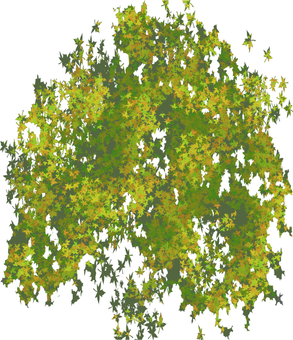 Png Illustrator Top View Trees (1237x1600), Png Download