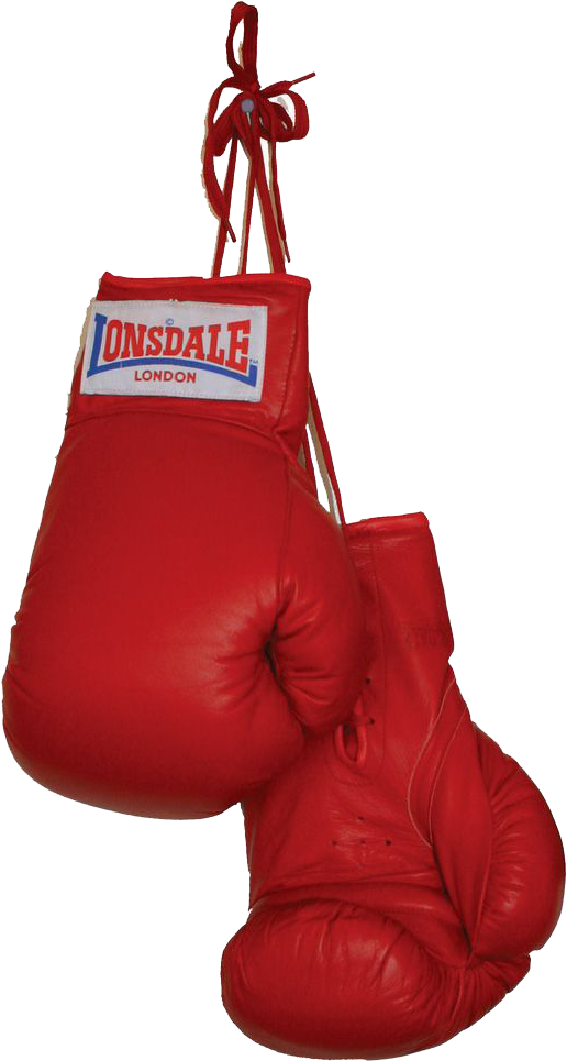 Boxing Gloves Download Png - Boxing Gloves Jpg (1024x1024), Png Download
