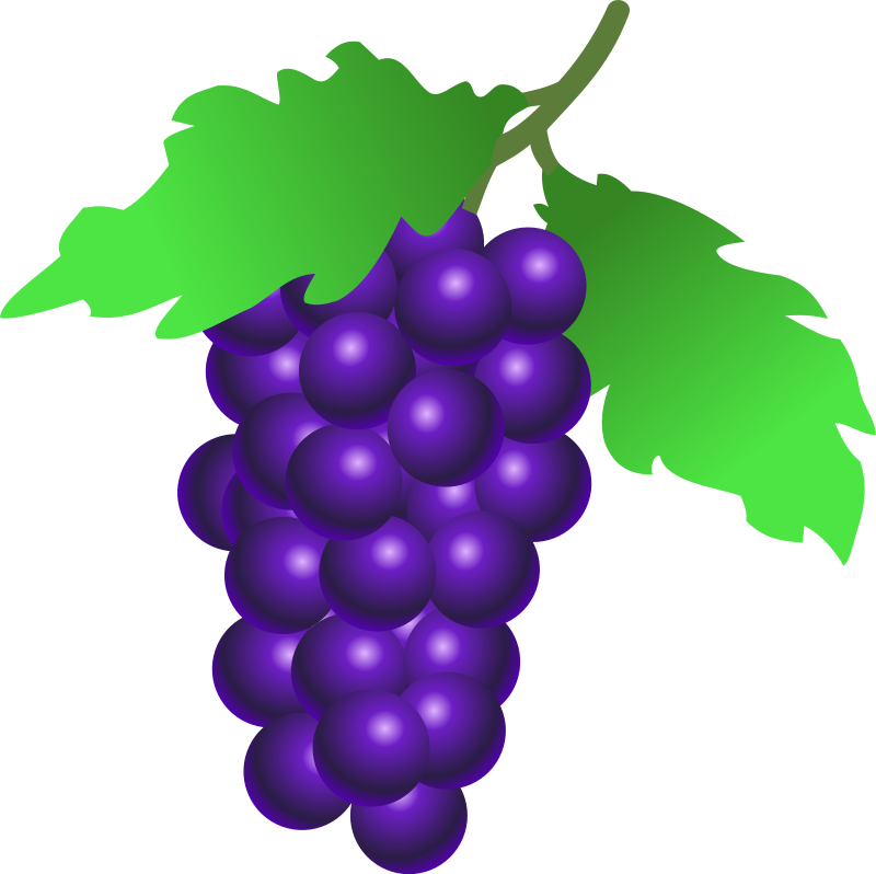 Grapes Clip Art Png - Grapes Clipart (800x798), Png Download
