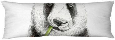 Watercolor Panda Illustration - Cushion (400x400), Png Download