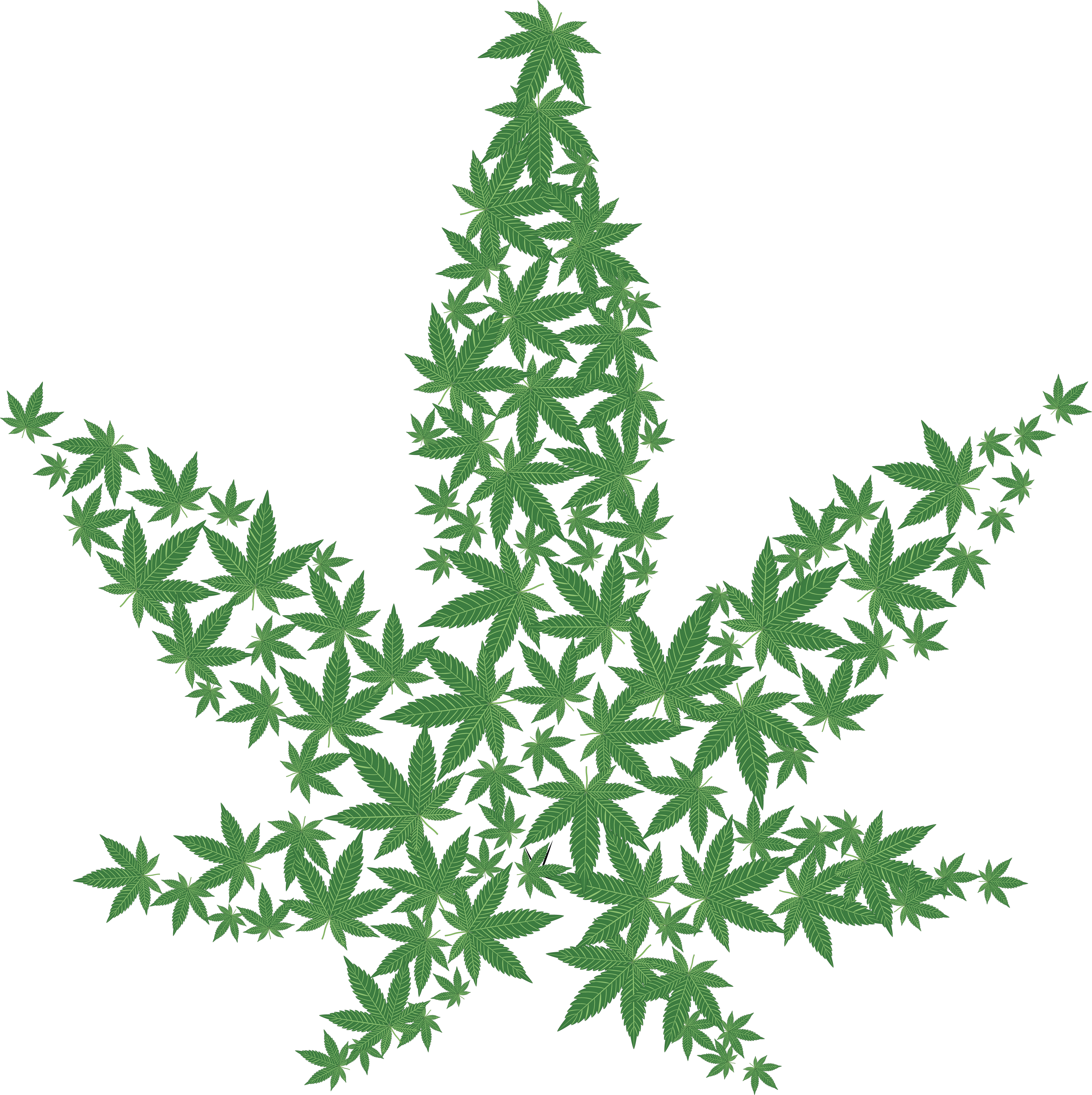 Cannabis .png (2000x2006), Png Download
