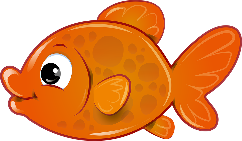 Fish Goldfish Orange - Clipart Gold Fish (960x559), Png Download