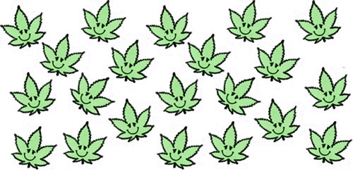 Weed - Transparent Marijuana (500x250), Png Download
