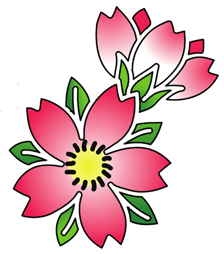 Cherry Blossom Tattoos High Quality Photos And Flash - Cherry Blossom Flower Tattoo Outline (450x525), Png Download