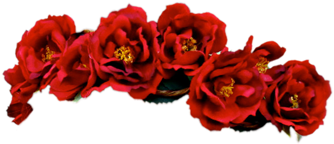 Png Displaying Flower Red Red Transparent Crown For - Flower Crown Red Png (720x376), Png Download