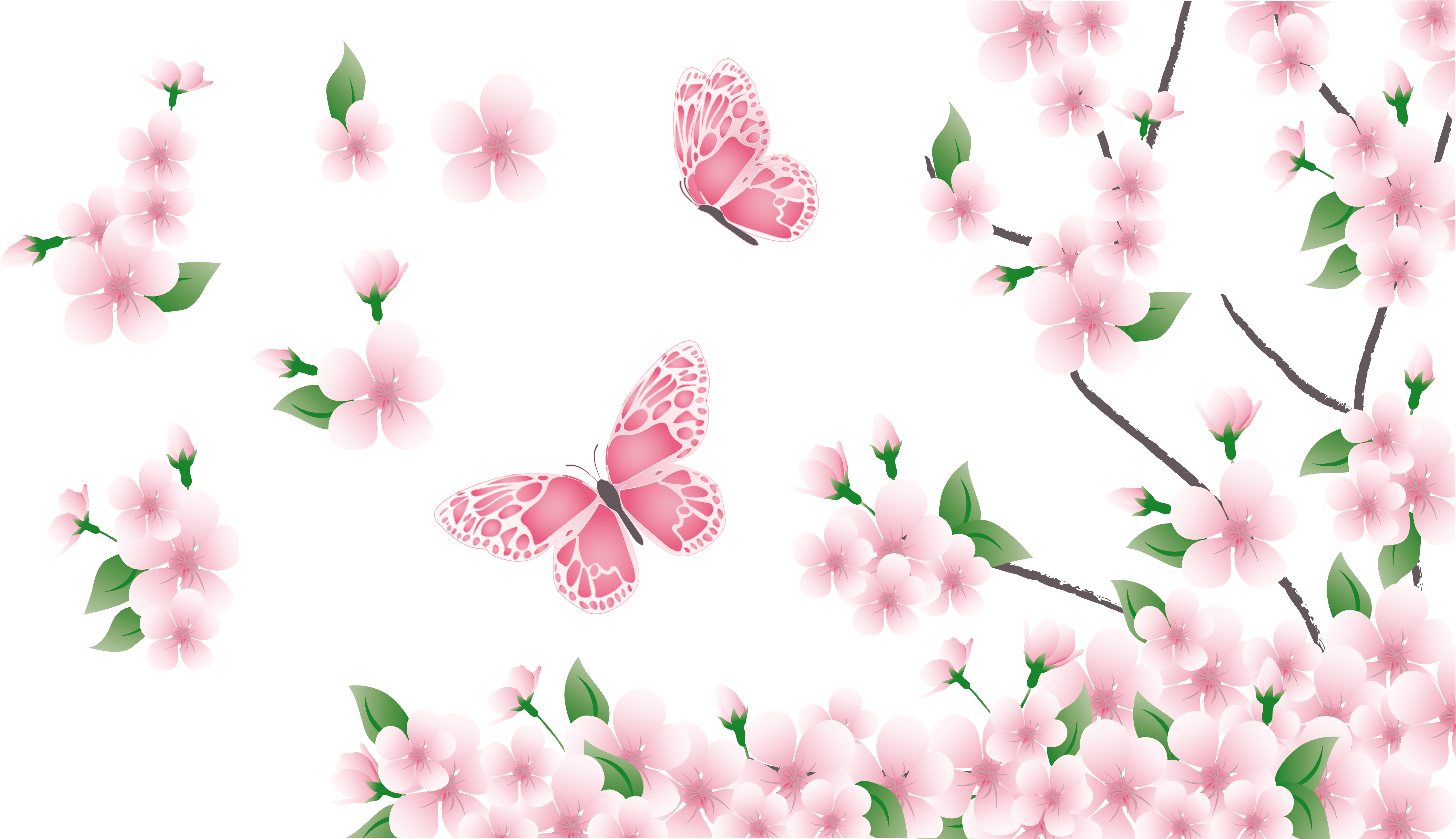 Spring Branch With Pink Flowers And Butterflies Png - Pink Flowers And Butterflies (5747x3273), Png Download