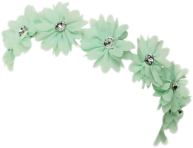 Mint Transpa Flower Crown Frames Ilrations Hd Images - Green Flower Crown Transparent (784x602), Png Download