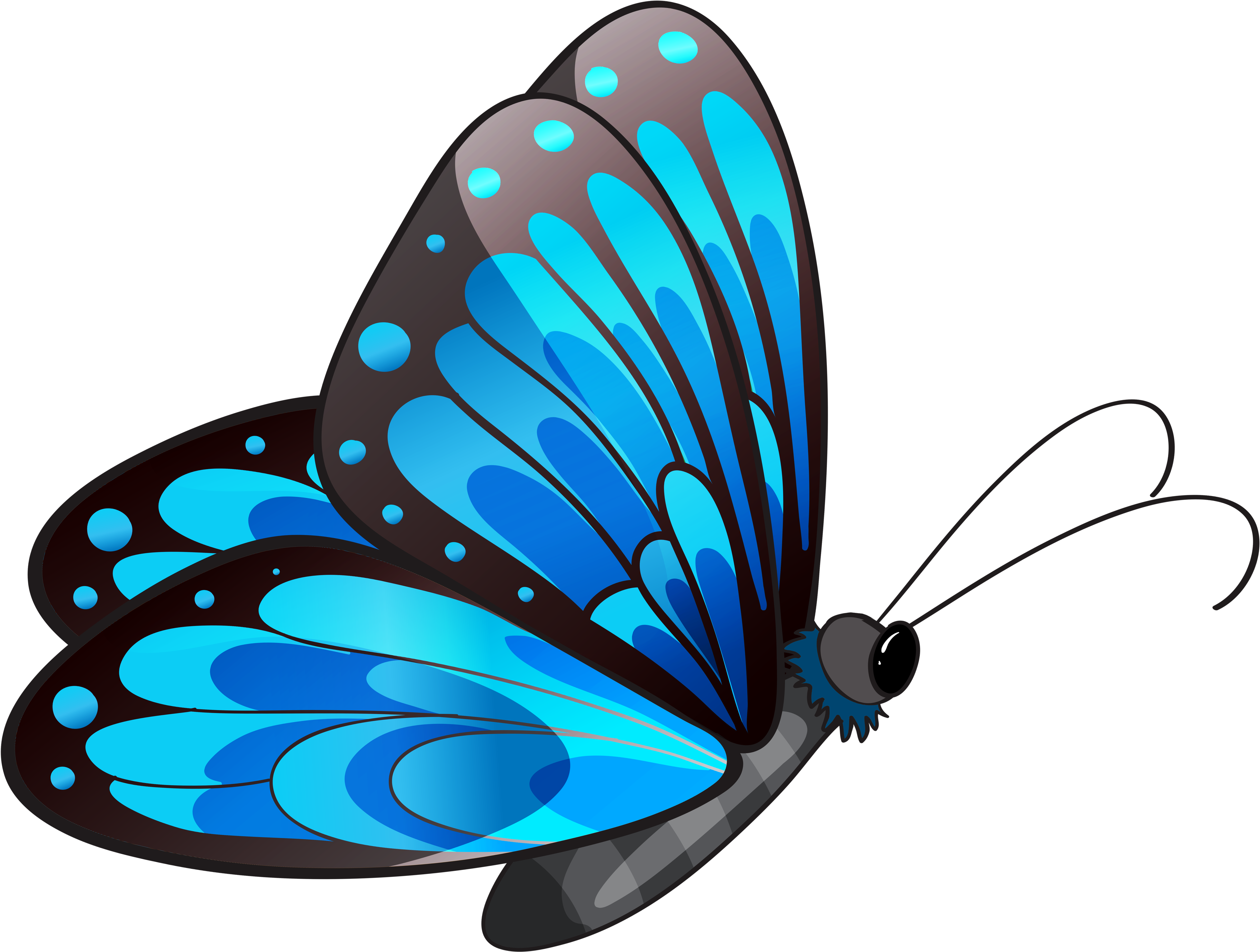 Transparent Blue Butterfly Png Clipart - Blue Butterfly Clipart Png (4155x3205), Png Download