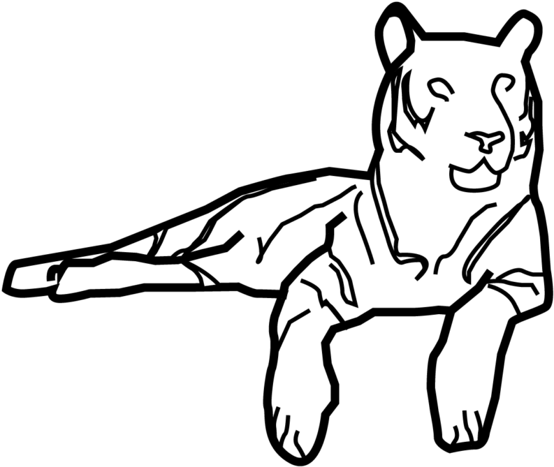 Tiger - My Icon Story Ltd (1024x1024), Png Download